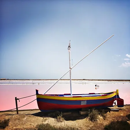 Vigne Vierge Aigne (Herault)