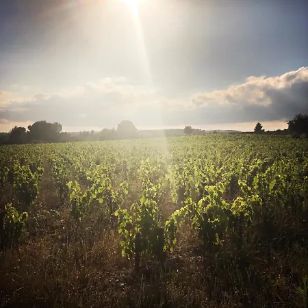 Vigne Vierge Отель типа 