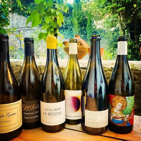 Vigne Vierge Отель типа 