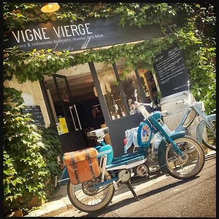 Vigne Vierge 3* Aigne (Herault)