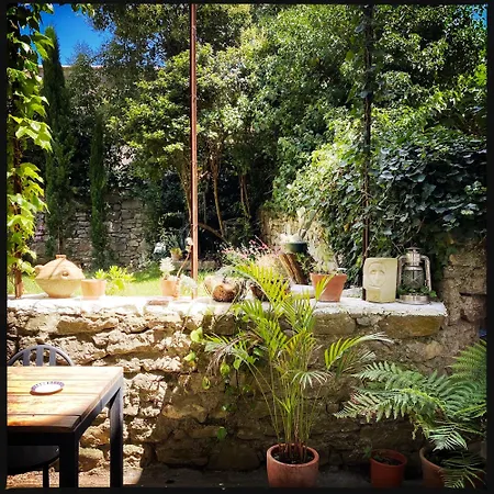 Vigne Vierge Отель типа 