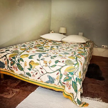 Vigne Vierge Aigne (Herault)