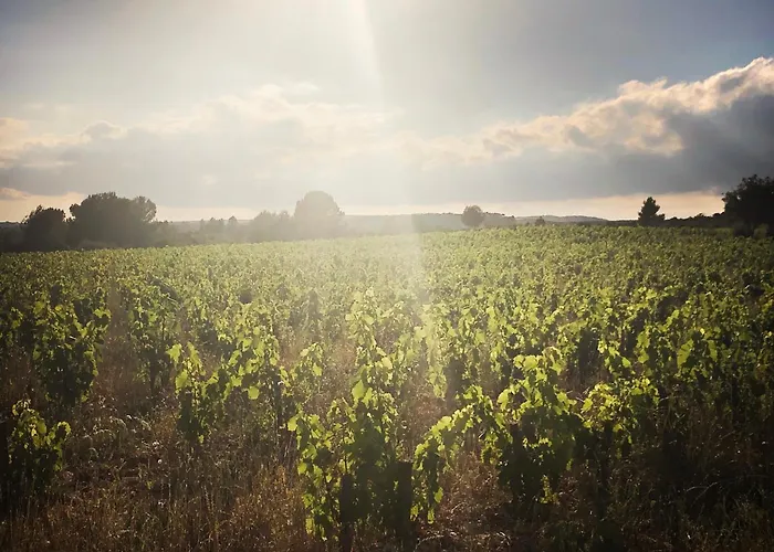 Vigne Vierge Bed & Breakfast 3*
